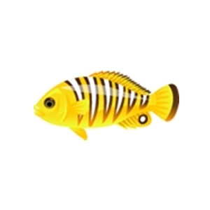 Striped Golden Fish